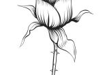 Coloriage De Rosas épinglé Par April ordoyne Sur Flowers Pinterest