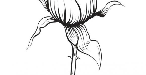 Coloriage De Rosas épinglé Par April ordoyne Sur Flowers Pinterest