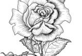 Coloriage De Rosas épinglé Par theresa May Sur Ink Drawings Pinterest