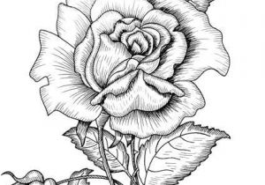 Coloriage De Rosas épinglé Par theresa May Sur Ink Drawings Pinterest