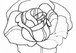 Coloriage De Roses A Imprimer Coloriage Les Pétales D Une Rose Dessin Gratuit à Imprimer