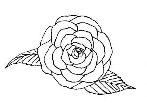 Coloriage De Roses A Imprimer Coloriage Rose Sur Coloriage à Imprimer Du Net