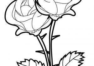 Coloriage De Roses A Imprimer Coloriage Roses Les Beaux Dessins De Nature à Imprimer