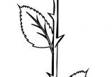 Coloriage De Roses A Imprimer Coloriage Une Rose Dory Coloriages