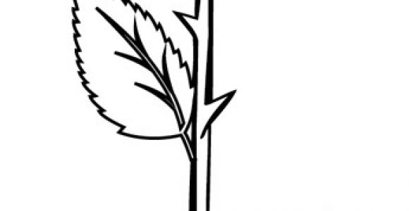 Coloriage De Roses A Imprimer Coloriage Une Rose Dory Coloriages