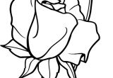 Coloriage De Roses A Imprimer Coloriage Une Rose Ouverte Et Bouton De Rose Dory