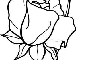 Coloriage De Roses A Imprimer Coloriage Une Rose Ouverte Et Bouton De Rose Dory