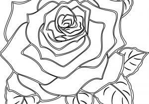Coloriage De Roses A Imprimer Dessin 1464 Coloriage Roses à Imprimer Oh Kids