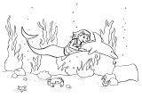 Coloriage De Sirène A Imprimer Coloriage   Imprimer Gratuit Coloriage Dauphin   Imprimer