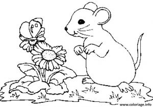 Coloriage De souris A Imprimer Gratuit Coloriage Fleurs Et souris Jecolorie Coloriage De souris A Imprimer Gratuit Coloriage Fleurs Et souris Jecolorie