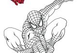 Coloriage De Spiderman A Imprimer Dessin De Spiderman Noir