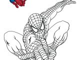 Coloriage De Spiderman A Imprimer Dessin De Spiderman Noir