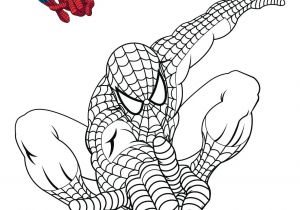 Coloriage De Spiderman A Imprimer Dessin De Spiderman Noir