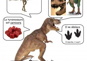 Coloriage De T Rex A Imprimer Fiche T Rex … Dinosaurios Pinterest