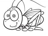 Coloriage De Tal Best 154 Coloriage De Papillons Et Autres Insectes Ideas On