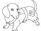 Coloriage De Terre Neuve Les 14 Meilleures Images De Chien