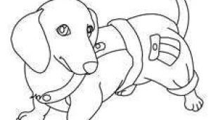 Coloriage De Terre Neuve Les 14 Meilleures Images De Chien