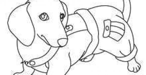 Coloriage De Terre Neuve Les 14 Meilleures Images De Chien