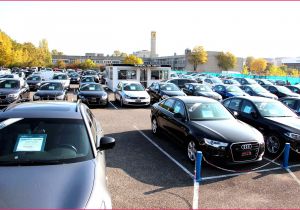 Coloriage De Tete De Tigre Coloriage Gs Génial 5 Sens A Colorier Dindigulz