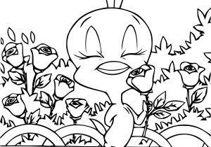 Coloriage De Titi Et Grosminet A Imprimer 65 Dessins De Coloriage Titi Et Grosminet   Imprimer Sur Laguerche