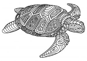 Coloriage De tortue Gratuit Beau Dessin A Imprimer Gratuit tortue – Mademoiselleosaki