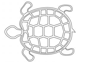 Coloriage De tortue Gratuit Decotme Tme Coloriage tortue