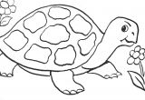 Coloriage De tortue Gratuit tortue 4 Animaux – Coloriages à Imprimer