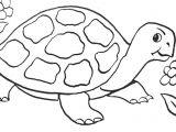 Coloriage De tortue Gratuit tortue 4 Animaux – Coloriages à Imprimer