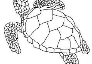 Coloriage De tortue Gratuit tortue Dessin Recherche Google