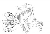 Coloriage De Tyrannosaurus Rex T Rex Coloriage