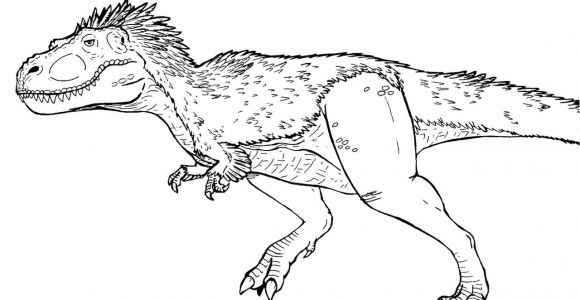 Coloriage De Tyrannosaurus Rex What S Wrong with Me T Rex by Zewqt On Deviantart
