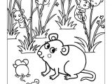 Coloriage De Vélo 77 Best Coloriages De Bébés Animaux Images On Pinterest