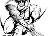 Coloriage De Wolverine 13 Luxury Wolverine Coloring Pages Gallery