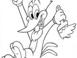 Coloriage De Woody Woodpecker 46 Meilleures Images Du Tableau Coloring Cartoons