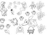 Coloriage De Zig Et Sharko A Imprimer Imprimer Gratuit Zig Sharko Coloriage Mer Ocean Aquarium