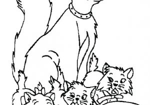 Coloriage Des Aristochats Coloriage Aristochats A Imprimer Coloriage A Imprimer Aristochat La