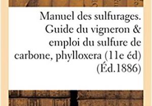 Coloriage Des Mini sorcière 51o A Gh8ml Sx331 Bo1 204 203 200