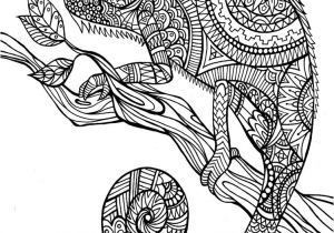 Coloriage Destressant à Imprimer Coloriage Anti Stress   Colorier Dessin   Imprimer