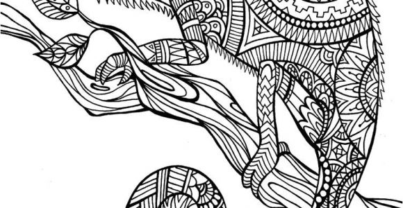 Coloriage Destressant Animaux Coloriage Anti Stress   Colorier Dessin   Imprimer