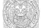 Coloriage Destressant Chat Mystical Cats In Secret Places A Cat Lover S Coloring Book Amazon