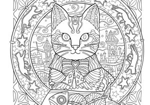 Coloriage Destressant Chat Mystical Cats In Secret Places A Cat Lover S Coloring Book Amazon