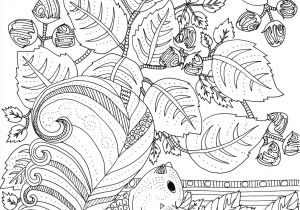 Coloriage Destressant Pour Adulte A Imprimer Dessins Gratuits   Colorier Coloriage Adulte Anti Stress   Imprimer