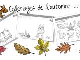 Coloriage Détente Cp écureuil Résultats De Recherche