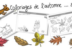 Coloriage Détente Cp écureuil Résultats De Recherche
