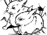 Coloriage Didou à Imprimer Dessins Gratuits   Colorier Coloriage Camion Pompier  