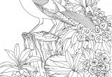 Coloriage Difficile A Imprimer 22 Dessins De Coloriage Difficile à Imprimer