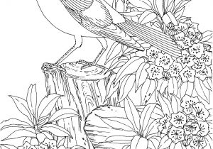Coloriage Difficile A Imprimer 22 Dessins De Coloriage Difficile à Imprimer