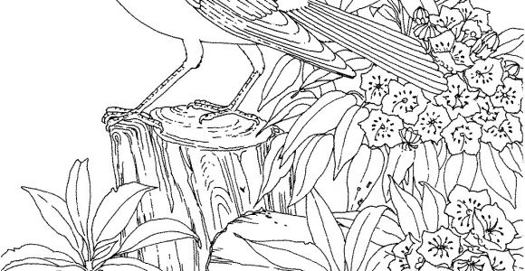 Coloriage Difficile A Imprimer 22 Dessins De Coloriage Difficile à Imprimer