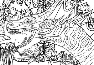 Coloriage Difficile A Imprimer Unique Dessin De Manga Difficile