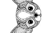 Coloriage Difficile Pour Adulte Animaux Coloriage D Un Dessin D Un Mignon Petit Chien   La Mani¨re Mandala